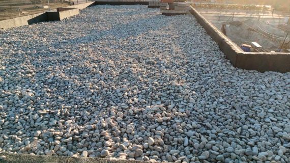 PHOTO-2024-12-29-10-33-48